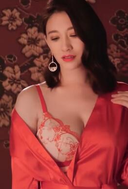 李小冉内衣广告