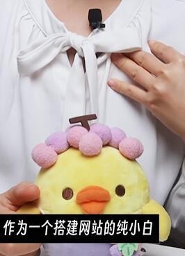 С�׽���վ ǧ���ѡwordpress