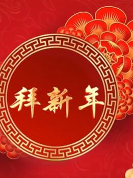 �����꣬2025�桶�����꡷��̨LED������Ƶ