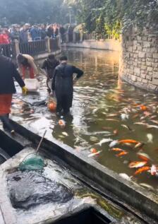 ���нֹ�����һҹ֮���������