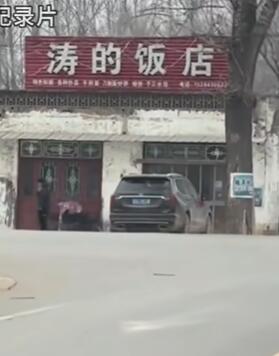 �εķ������ �ϰ巢��:лл��ҹ�ע