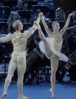 Ӣ������������ٵ�����, PAAX GNP 2024 ����������