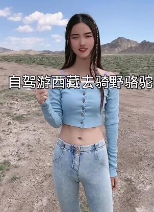 美女自驾游去西藏骑骆驼