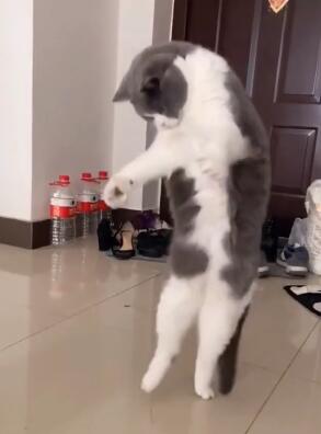 ��Ц��Ƶ���� ��Ц�������� ��Ц����