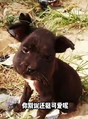 ����Ԫ��Ц���� ��Ц����