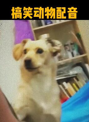 ��Ц�������� ��Ц����