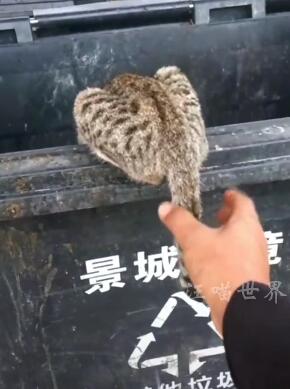 ����̫ɳ���ȳ�̫��ù ��Ц����