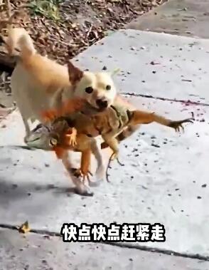 ��Щ���������û�£��ҳ��ǵý�ȥ�� ��Ц���� ��Ц����