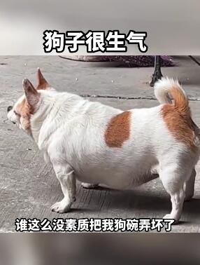 ���뱻ѹ�飬���Ӻ�����������ܸ�Ц�� ��Ц��Ƶ