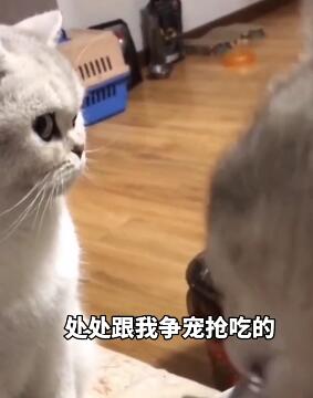 ��Ϊ����û����費�ǣ� ��Ц����