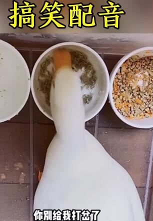 笑亿天【搞笑配音】 搞笑视频