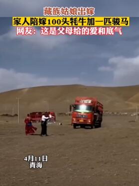 藏族姑娘出嫁娘家陪嫁100头牦牛+1匹骏马
