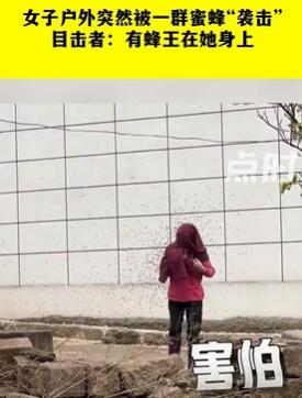 女子户外突遭一群蜜蜂袭击 无人敢上前帮忙