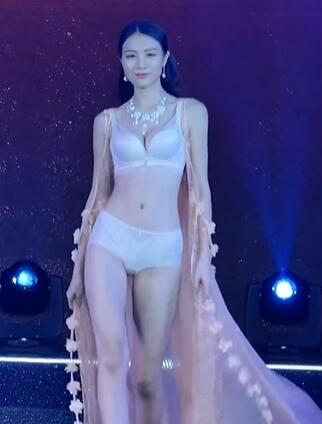 天使之翼环球世界小姐大赛九九精品好美的模特