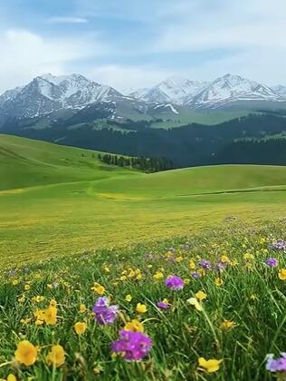 新疆自治区伊犁州喀拉峻景区2