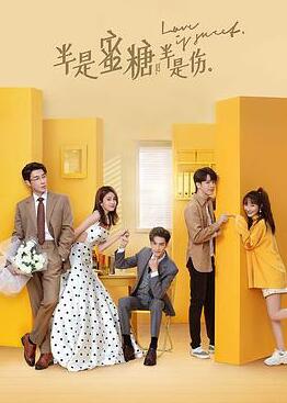 半是蜜糖半是伤电视剧
