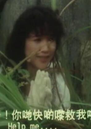 �͹�ɽ��1989