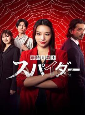 离婚律师蜘蛛抚恤金争夺篇