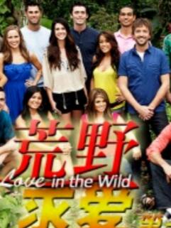 荒野求爱第一季