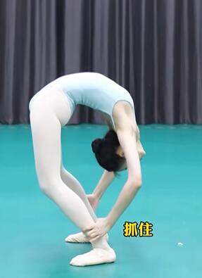 �������ץ�Ⱦ��Ǿ�