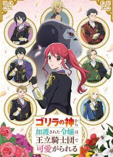 受到猩猩之神庇护的大小姐在皇家骑士团受到宠爱