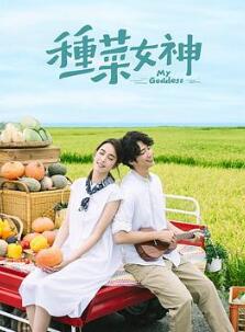 种菜女神